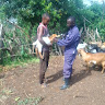 Profile photo of Musinguzi Dissan